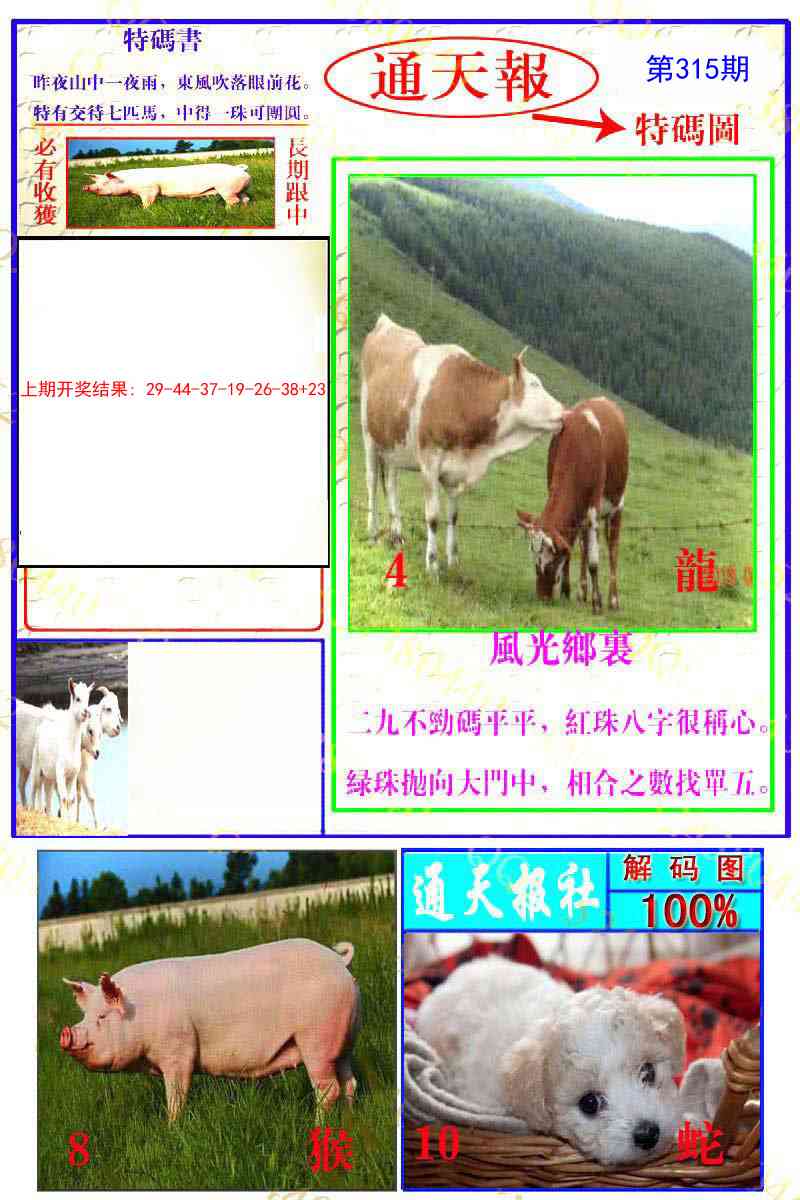 315期通天特解图[图]