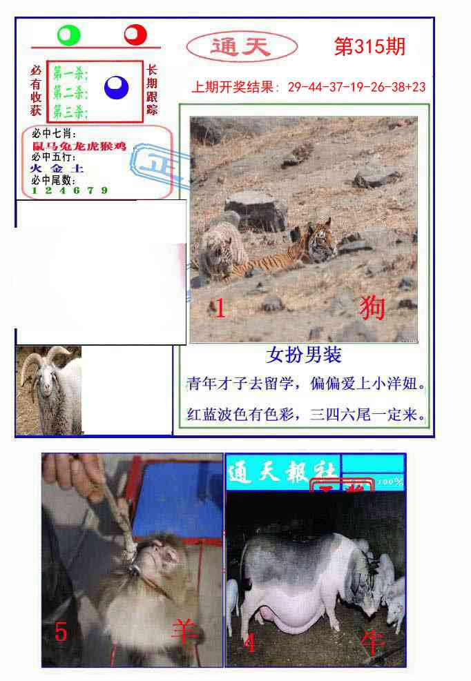 315期通天杀波图2[图]