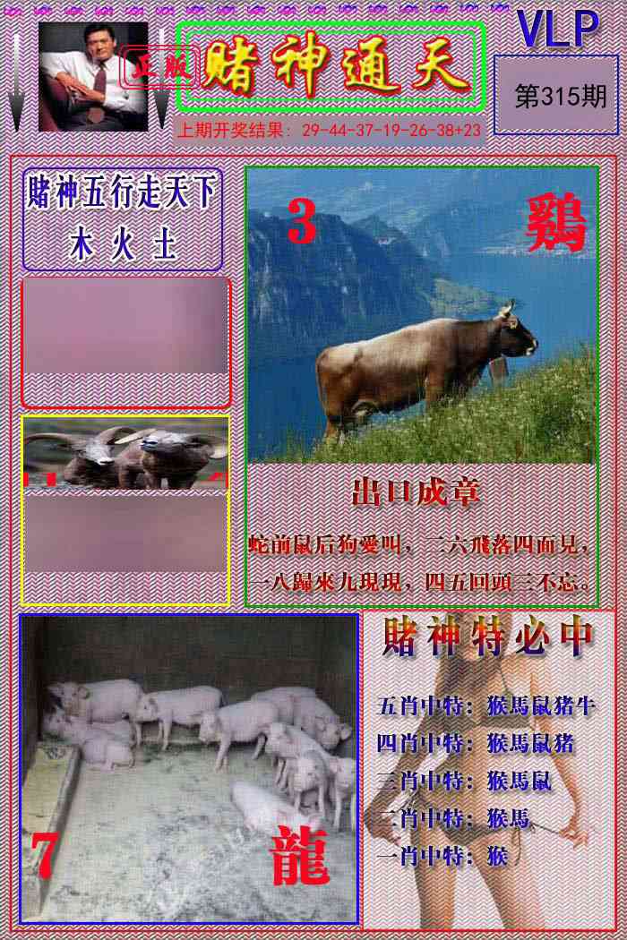 315期赌神通天报[图]