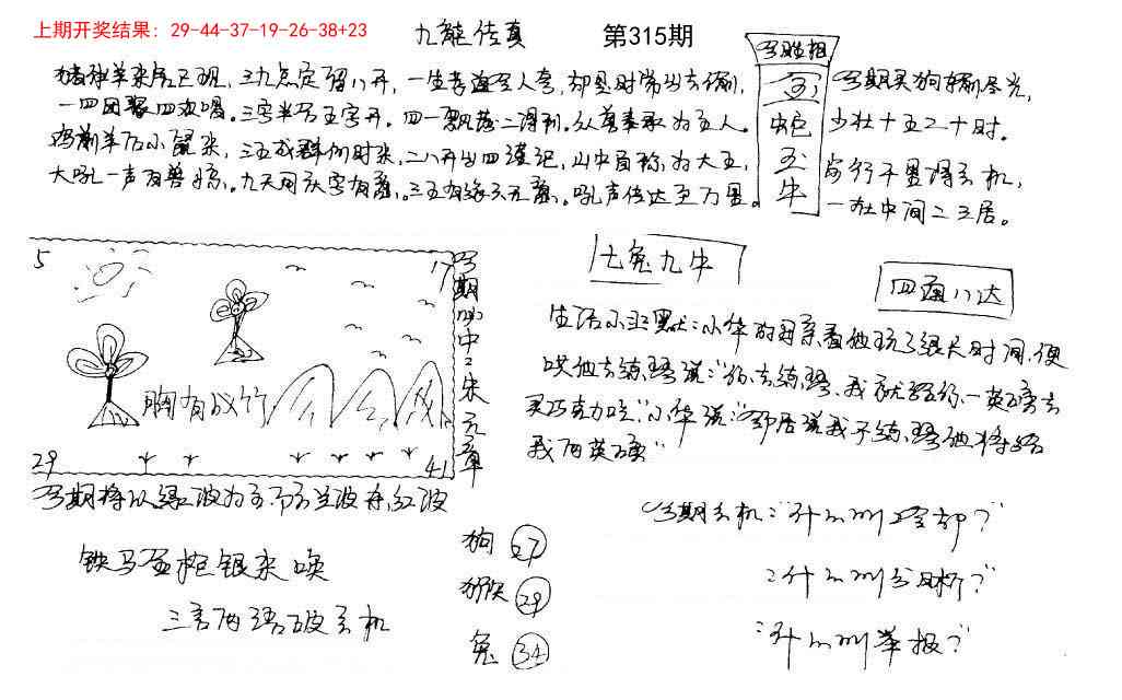 315期手写九龙内幕[图]