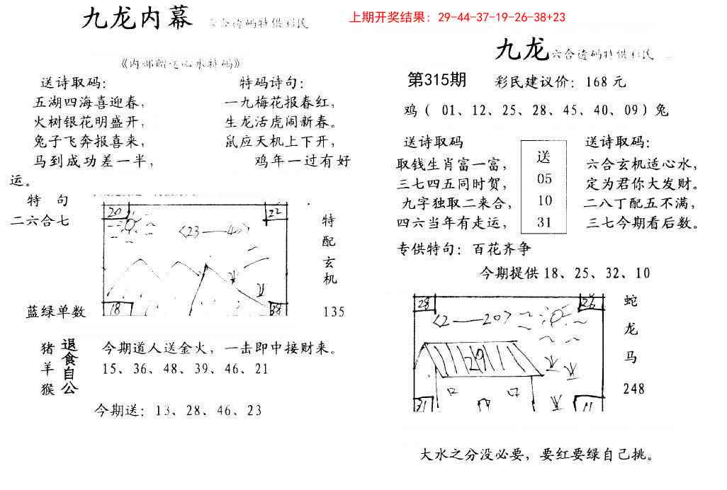 315期九龙内幕[图]