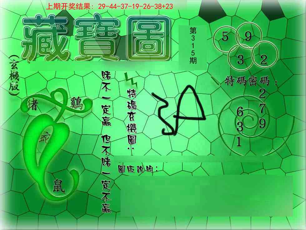 315期九龍玄机报[图]