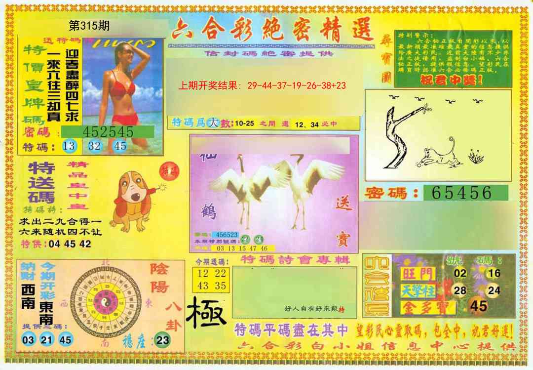 315期绝密精选A[图]