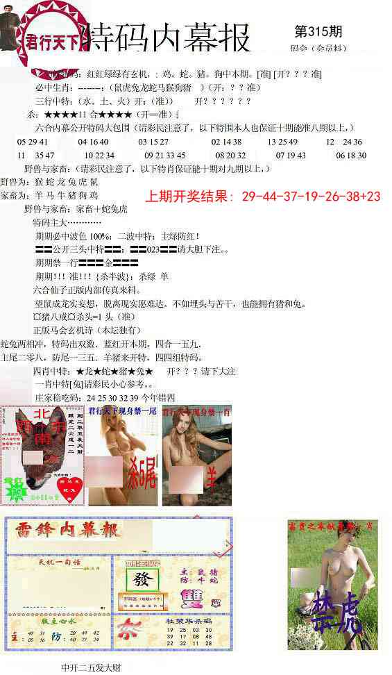 315期特码内幕报[图]