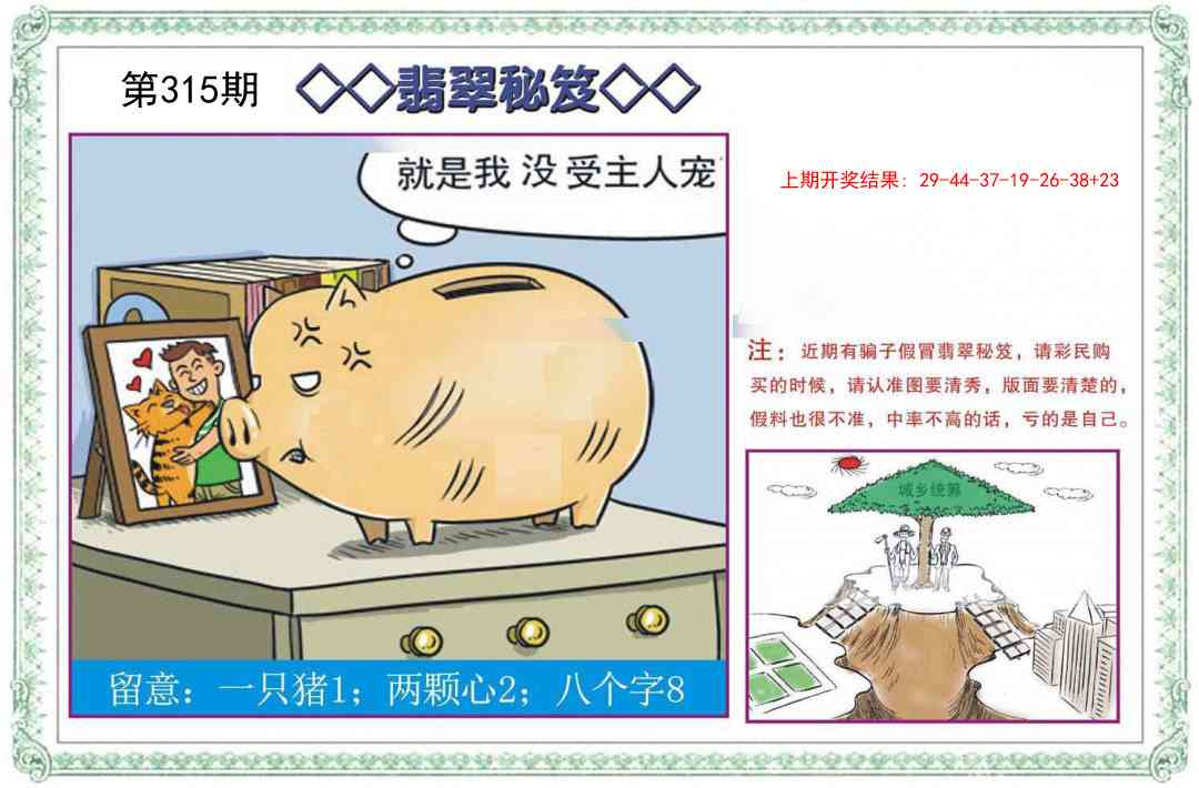 315期翡翠秘笈[图]