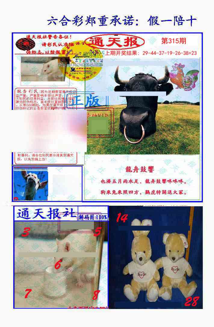315期假一陪十通天报[图]