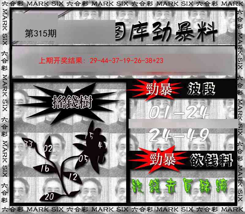 315期劲暴来料[图]