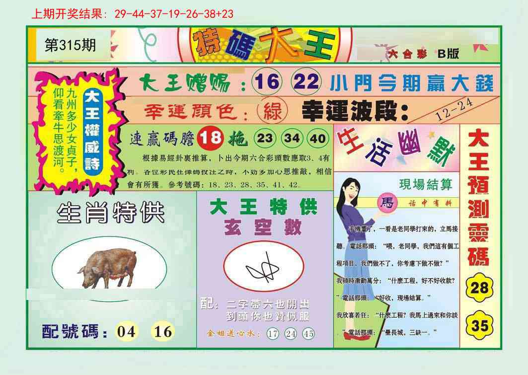315期特码大王B[图]