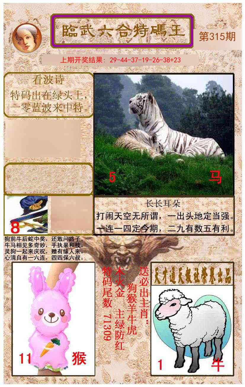 315期临武六合特码王[图]
