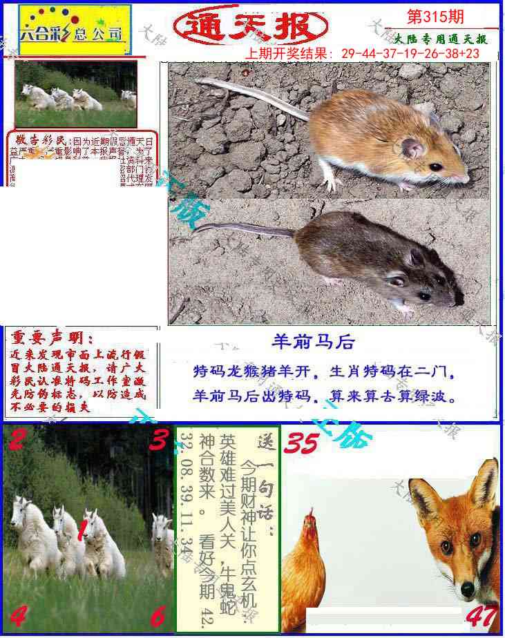 315期大陆通天报[图]
