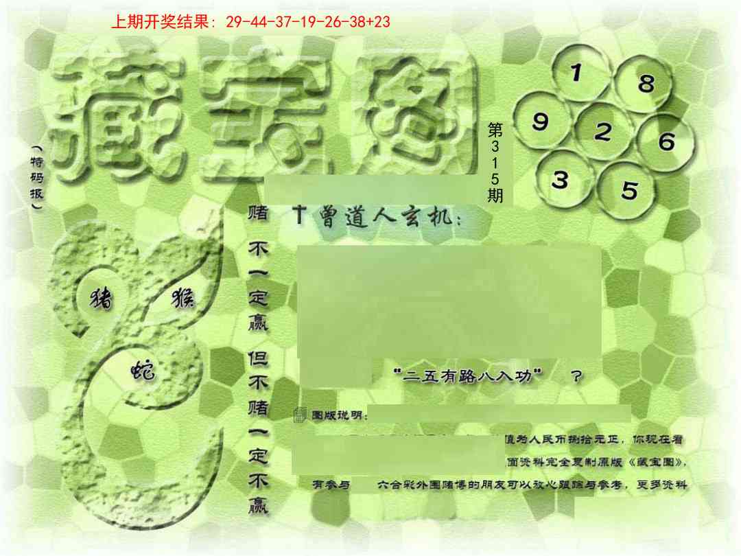 315期假新藏宝图[图]
