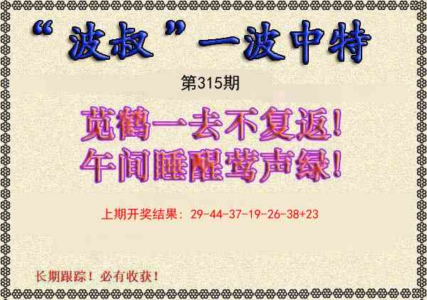 315期波叔一波中特[图]