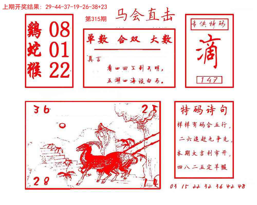 315期马会直击[图]