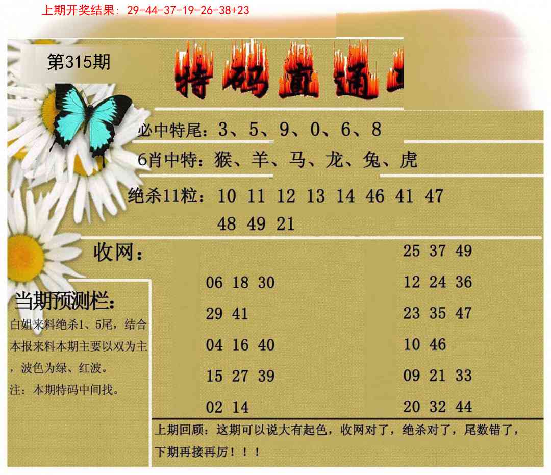 315期特码直通车[图]